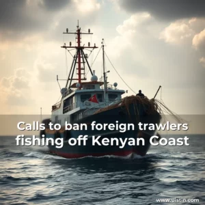 Artistic representation for Calls to ban foreign trawlers fishing off Kenyan Coast