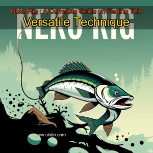 Read more about the article Neko Rig : A Complete Guide on Fishing This Versatile Technique